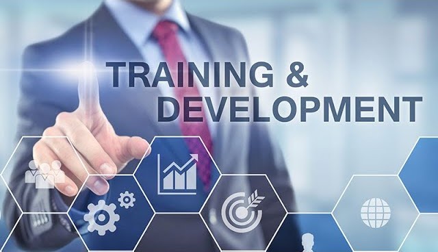 التدريب والتطوير المهني